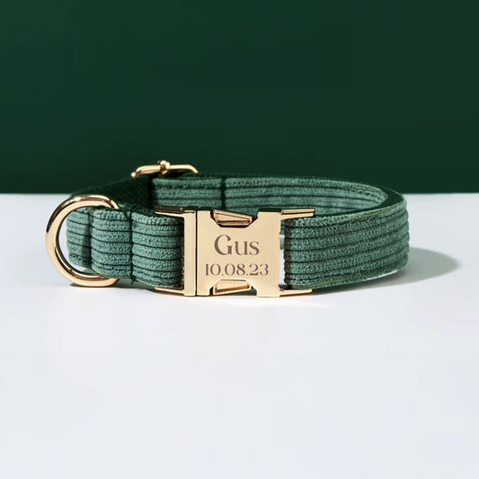 Collier chien personnalisé velours côtelé vert forêt