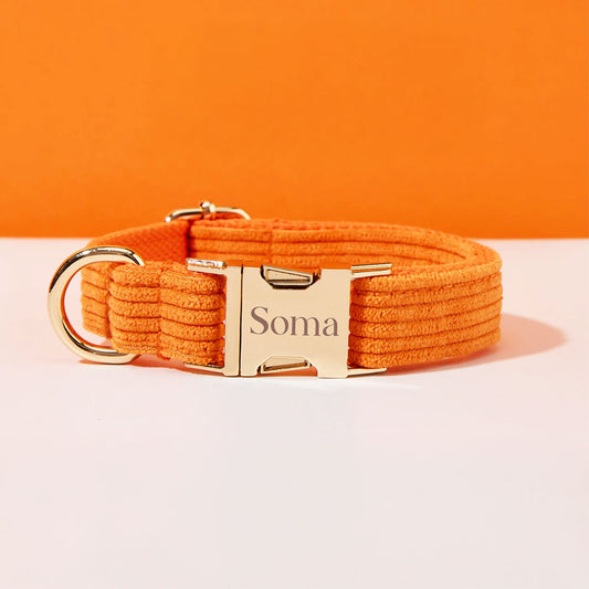 Collier chien personnalisé velours côtelé orange