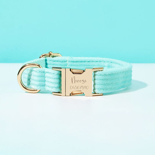 Collier chien personnalisé velours côtelé aqua