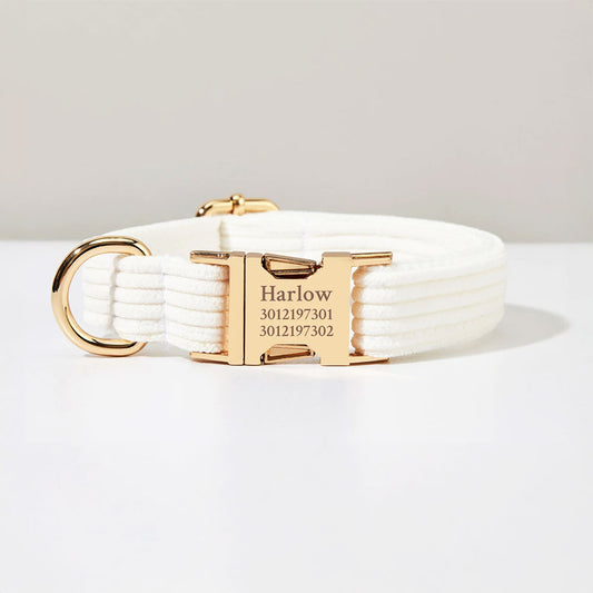 Collier chien personnalisé velours côtelé ivoire