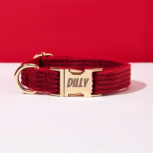 Collier chien personnalisé velours côtelé bordeaux