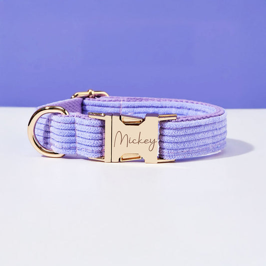 Collier chien personnalisé velours côtelé lilas