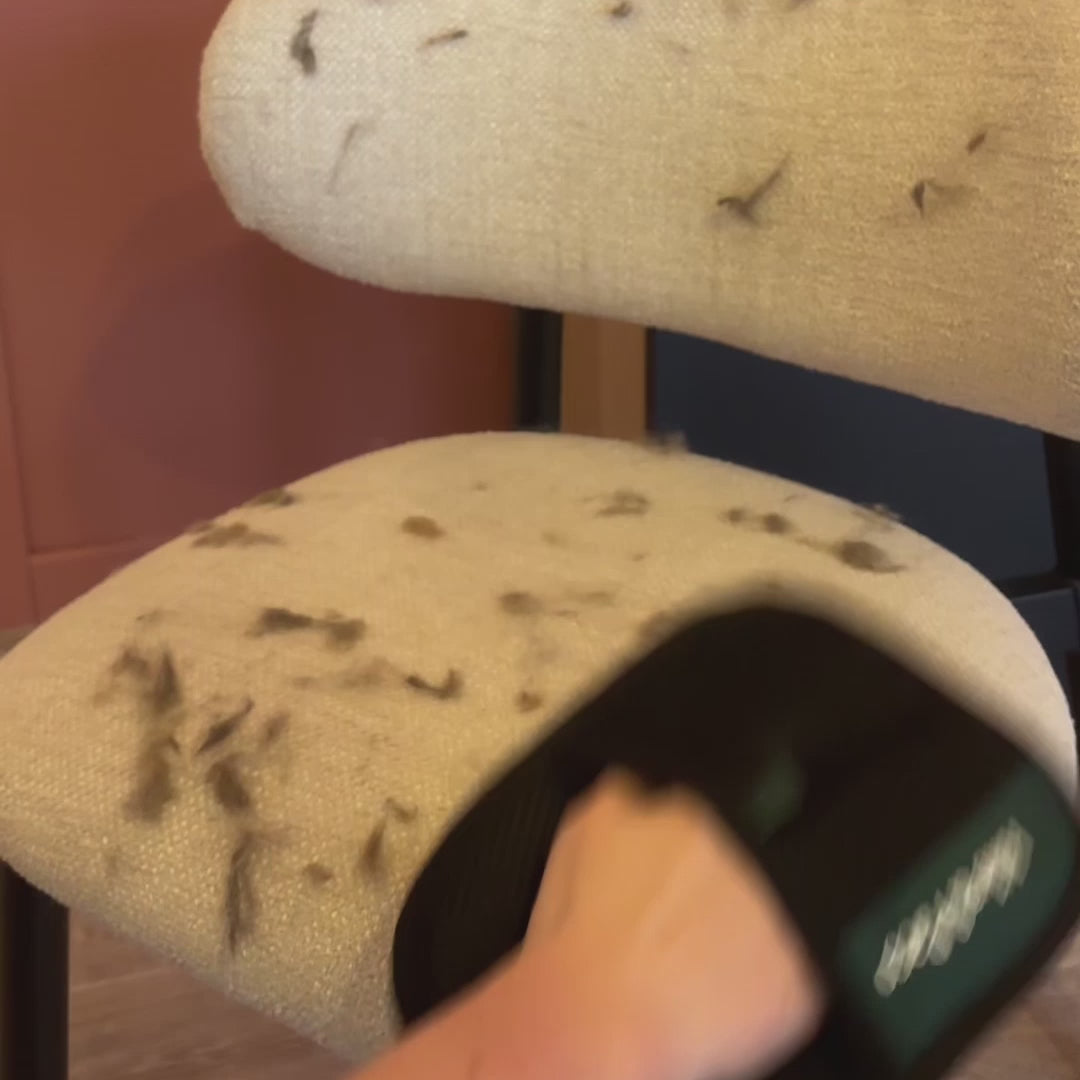 Avant après gant anti-poils pour chiens et chats
